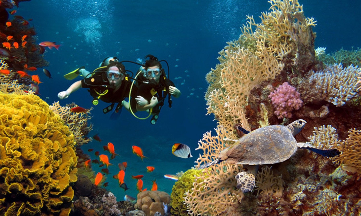 Dubai Reef: Das größte künstliche Riff der Welt entsteht | Die Geissens Real Estate | Luxus Immobilien mit Carmen und Robert Geiss – Die Geissens in Dubai